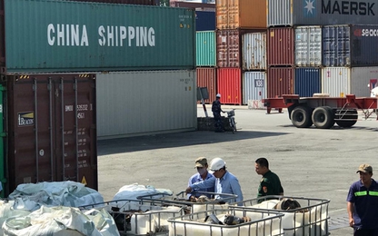 Mỗi tháng chi 1 tỉ USD nhập máy móc từ Trung Quốc