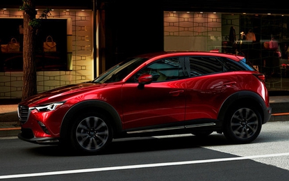 Nhà máy ô tô 1,6 tỷ USD có thể đóng cửa vì một loài cá