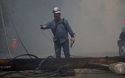 Cháy rừng ở Mỹ đẩy công ty 36 tỷ USD lâm cảnh phá sản