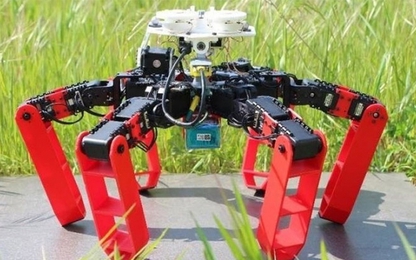 Phát minh loại robot mới có thể di chuyển mà không cần GPS