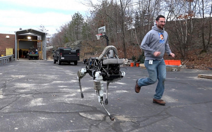 Google mở lại chương trình phát triển robot