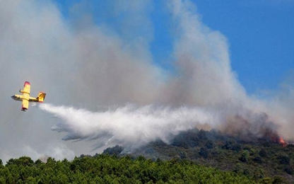 Nướng thịt làm cháy cả cánh rừng, sinh viên Italy bị phạt 15 triệu USD