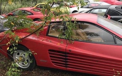 Hàng loạt siêu xe bị bỏ quên ở một khu vườn hoang