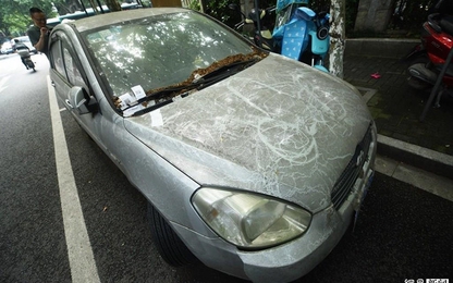 Vứt ôtô ở bãi 600 ngày không lấy, phí gửi xe 12.000 USD