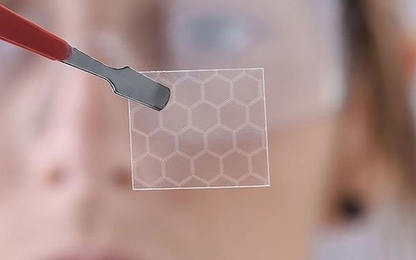 Các nhà nghiên cứu tìm ra vi khuẩn có thể tạo ra siêu vật liệu