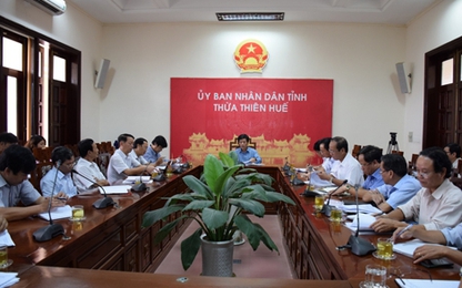 TT Huế: Thiệt hại 135 tỷ đồng do cá chết