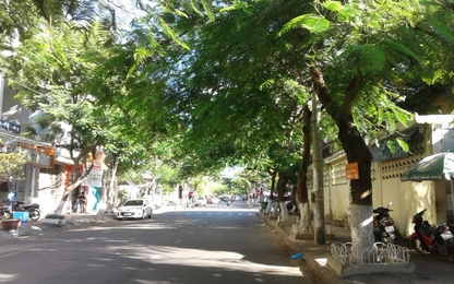 Hơn 50 triệu đồng cho giải báo chí “Đà Nẵng-Thành phố môi trường ”