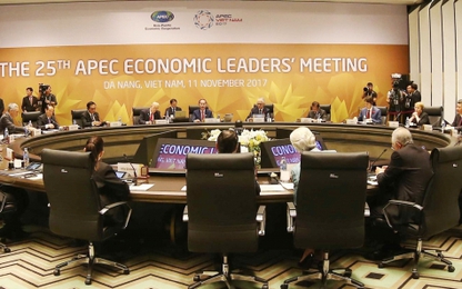 Khai mạc Hội nghị các nhà lãnh đạo kinh tế APEC lần thứ 25