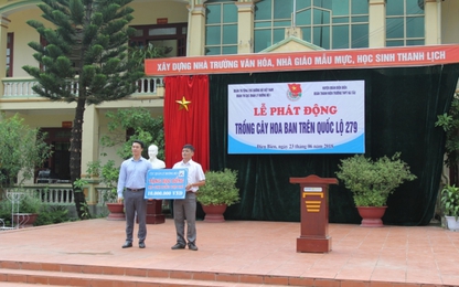 Tuổi trẻ Cục QLĐB I trồng cây hoa ban trên QL.279