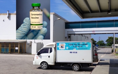 Công bố 2 đường dây nóng tiếp nhận phản ánh về hoạt động vận tải