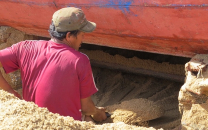 Triều cường hung hãn vùi lấp nhiều tàu cá ở Phú Yên