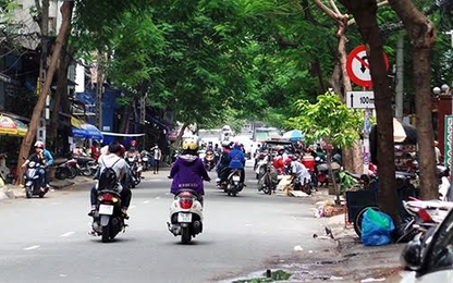 TPHCM: Kiến nghị lập quỹ hỗ trợ tai nạn do cây xanh ngã đổ