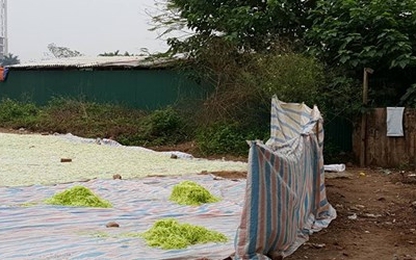 Có tình trạng cán bộ bao che thực phẩm bẩn