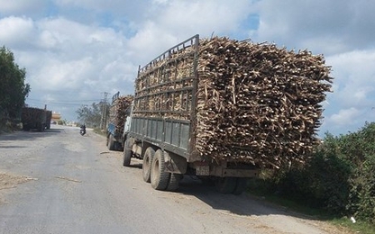 Bị bắt vì chở đá granite quá tải, hai tài xế bỏ xe chống đối