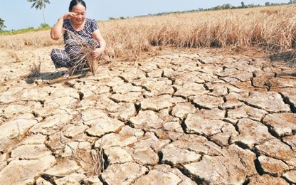 Hạn hán, xâm nhập măn gây thiệt hại khoảng 5.200 tỷ đồng
