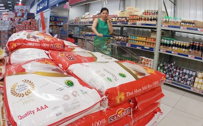 Khinh khí cầu cứu trợ thực phẩm khẩn cấp cho loài người trong tương lai