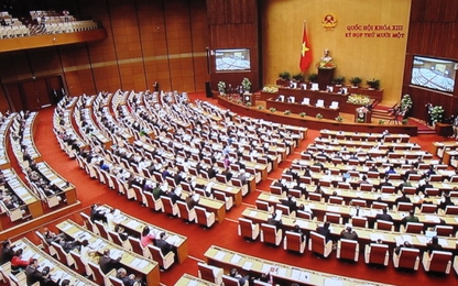 Hoãn thi hành Bộ luật Hình sự mới vì có quá nhiều lỗi