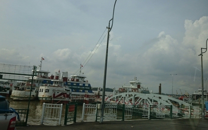 TP.HCM xây cầu dây văng thay thế phà Cát Lái