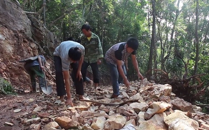 11 hộ nghèo bán trâu bò lấy hơn 300 triệu làm đường