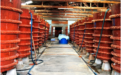 Bộ Công thương: Vinastas phạm luật khi công bố 'nước mắm nhiễm arsen'