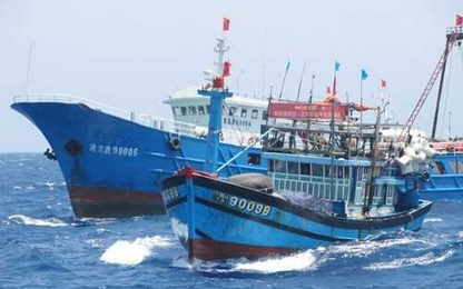 ​Hai ngư dân tử nạn trong hầm cá