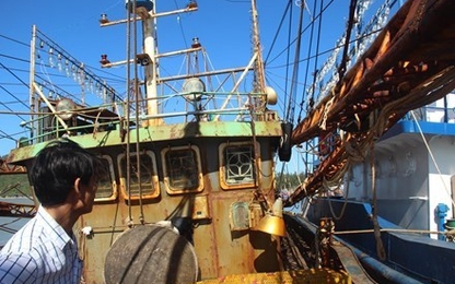 Thủ tướng giao Bộ Công an điều tra vụ hàng loạt tàu vỏ thép hỏng