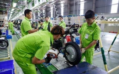 Kiểm tra, đề xuất phương án xử lý chống hàng giả Xe điện Pega LTT