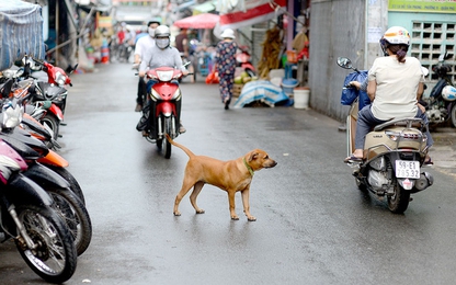 Thầy giáo đơn thân chạy xe ôm nuôi 2 cô con gái ăn học