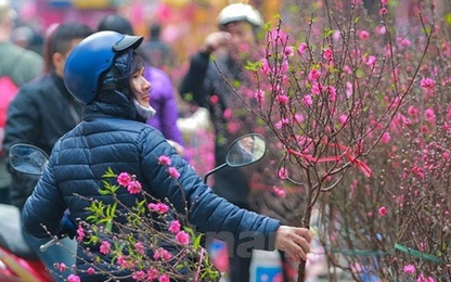 Bộ Lao động đề xuất nghỉ Tết 7 ngày