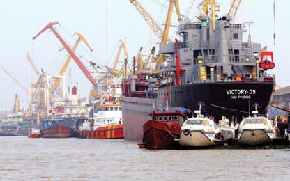 Đến ngành than cũng chê.... đội tàu biển Việt