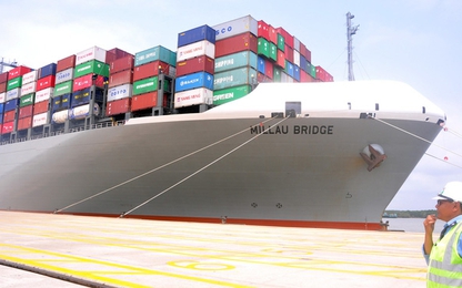 Bàn cách 'giải cứu' cảng Cát Lái và Cái Mép - Thị Vải