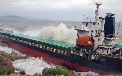 Bất thường thương vụ mua bán xác tàu đắm tại Việt Nam