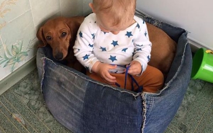 Bé trai 21 tháng tuổi bị một người nhảy lầu đè bẹp, tử vong