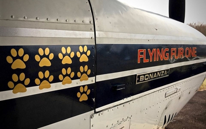 Người đàn ông bay hàng trăm chuyến suốt 3 năm cứu hàng trăm chú chó