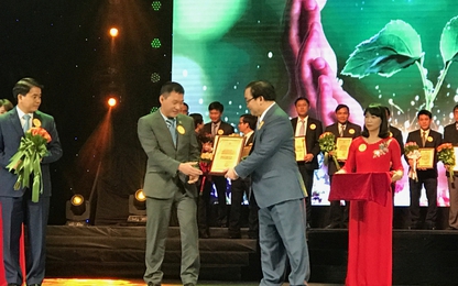 Tân Hoàng Minh ủng hộ 11.000 chiếc ghế cho nhà văn hóa các địa phương