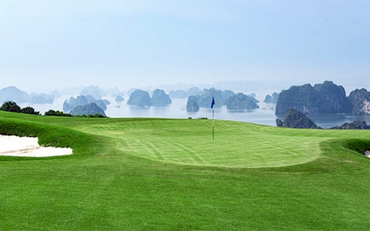 Gần 1000 golfer đăng kí tham dự FLC Faros Tournament 2018