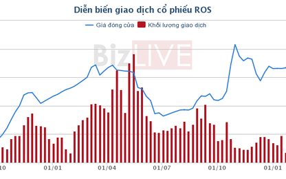 ROS lên kế hoạch trả cổ tức 20% năm 2018
