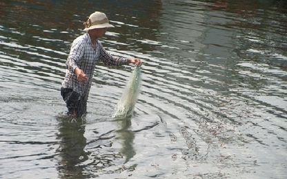 Ảnh hưởng bão số 3, một ngư dân bị đuối nước thương tâm