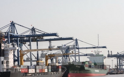 Triển khai 143 thủ tục trên Cơ chế một cửa quốc gia trong năm nay