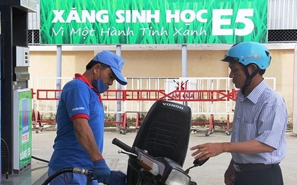 Ethanol sản xuất trong nước đắt hơn 800 đồng/lít so với nhập khẩu