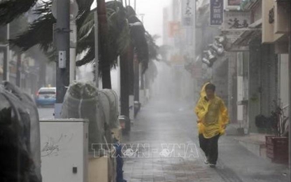 Bão Trami 'càn quét' Nhật Bản, dịch vụ đường sắt, hàng không ngưng trệ