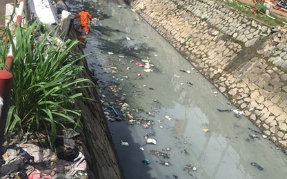 TP HCM lắp camera phạt nguội xả rác, tiểu bậy