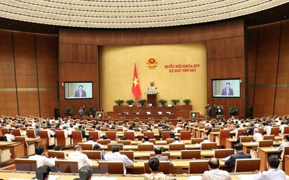 Kỳ họp thứ 6, Quốc hội khóa XIV: Cho ý kiến hai dự án Luật