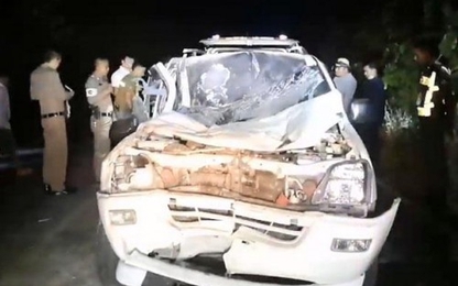 Kinh hoàng cảnh voi nổi giận giẫm chết tài xế vì bị tông trúng chân