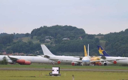 Giải pháp ngăn chim lạc vào sân bay vô cùng hiệu quả