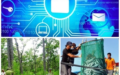 10 Luật có hiệu lực thi hành từ 1/1/2019