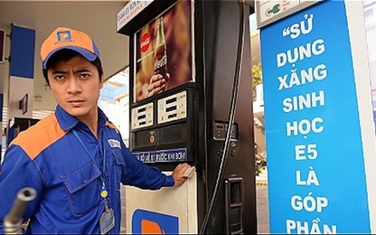 Không tăng giá xăng dầu trước Tết Kỷ Hợi