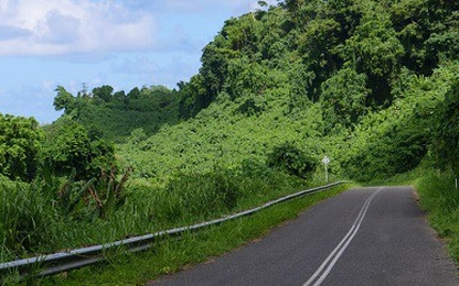 Tài xế xe tải ở Indonesia suýt chết sau khi dùng Google Maps