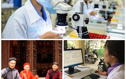 Chính sách mới có hiệu lực từ tháng 3/2019