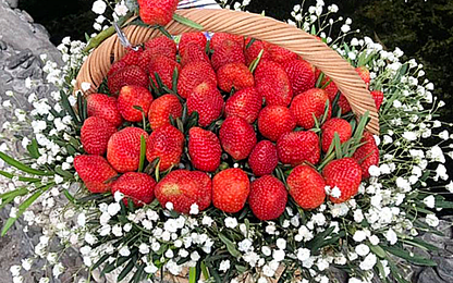 'Hoa ăn được' giá tiền triệu đắt khách ngày 8/3